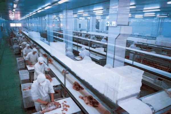 A engenharia da indústria de alimentos